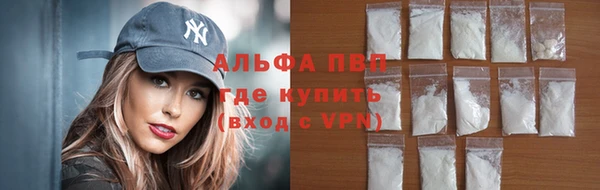 хмурый Нефтекумск