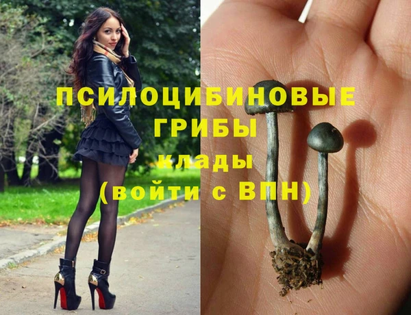 СК Нефтегорск