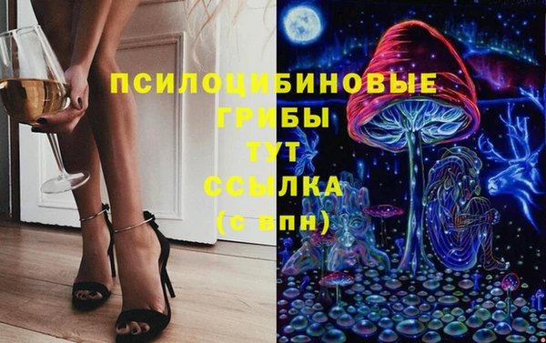 хмурый Нефтекумск